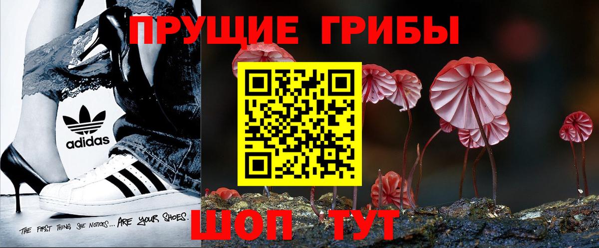 Псилоцибиновые грибы Psilocybe Батайск